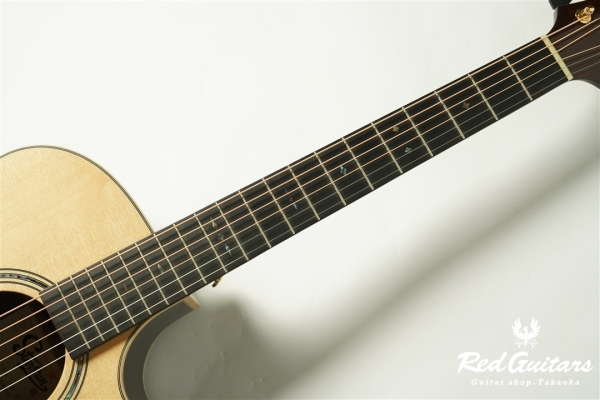 F130-GA Sitka Spruce / Indian Rosewood